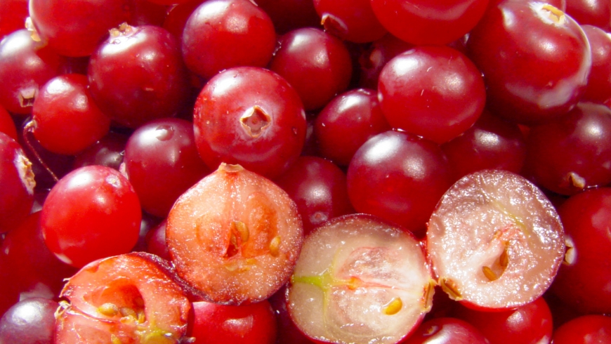 Image de l'aliment